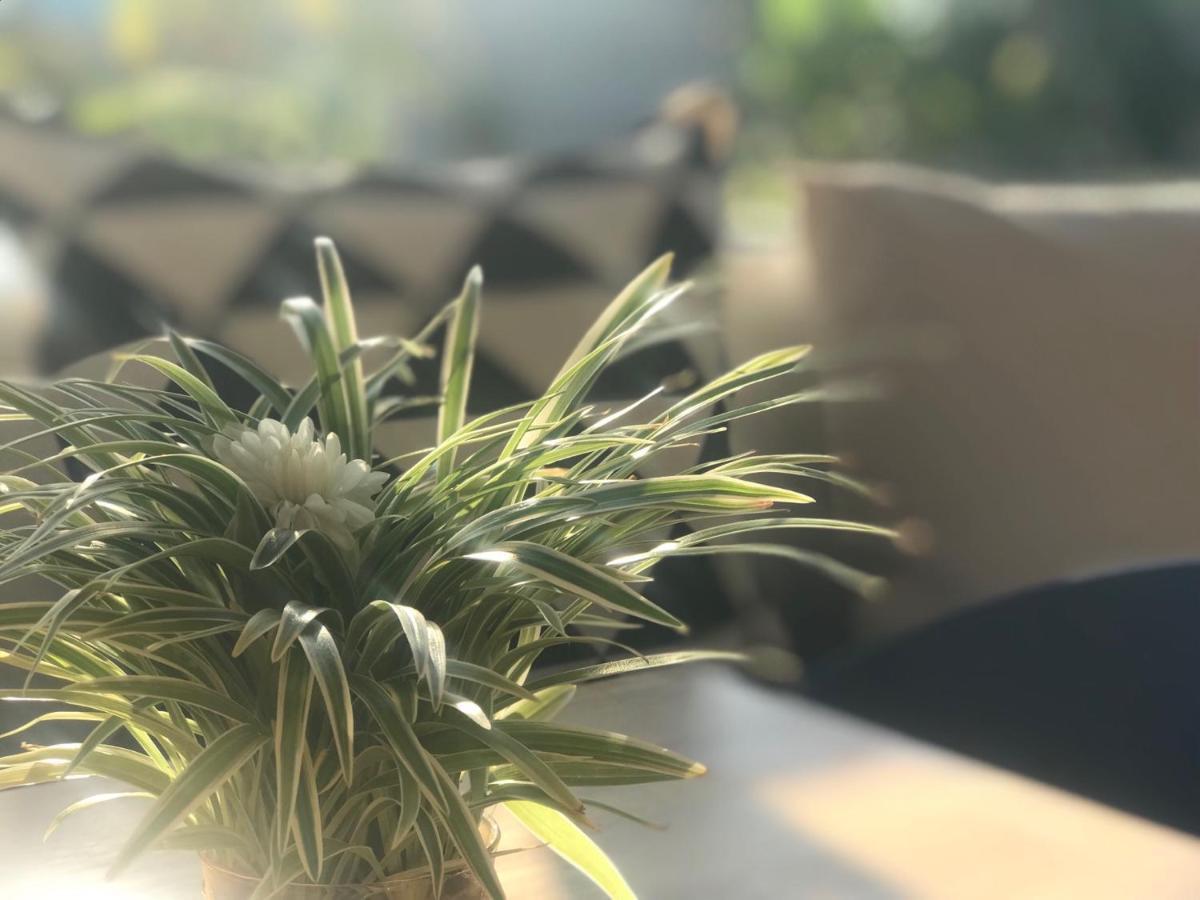 Aonang Eco Villa - Sha Extra Plus Ao Nang Zewnętrze zdjęcie